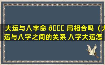 大运与八字命 🐅 局相合吗（大运与八字之间的关系 八字大运怎么看）